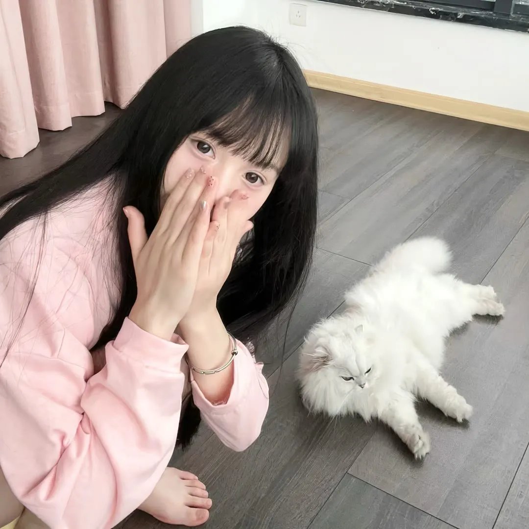苏格兰飞人